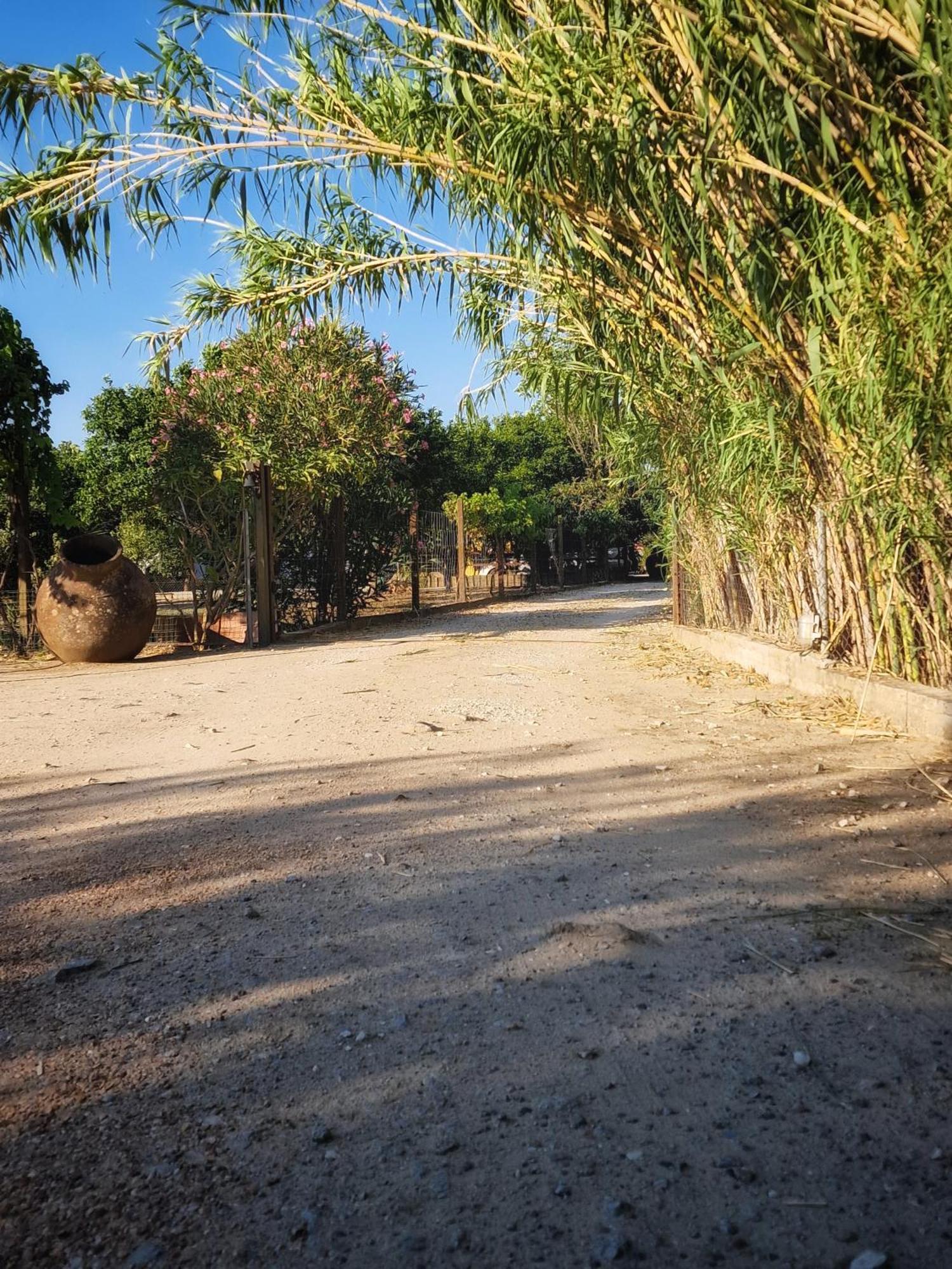 אלבאס Quinta Da Ponte Das Hortas 1 מראה חיצוני תמונה